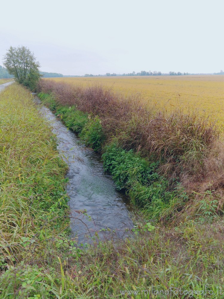 Bellinzago Novarese (Novara) - Campagna autunnale intorno alla Badia di Dulzago